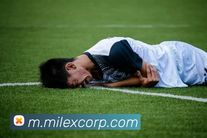 App Interface Preview