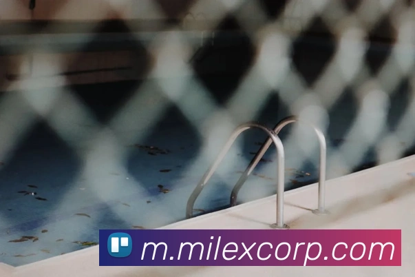 米乐m6APP 封面图